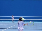 开云体育中国-网球热度飙升，网友热议不断的简单介绍