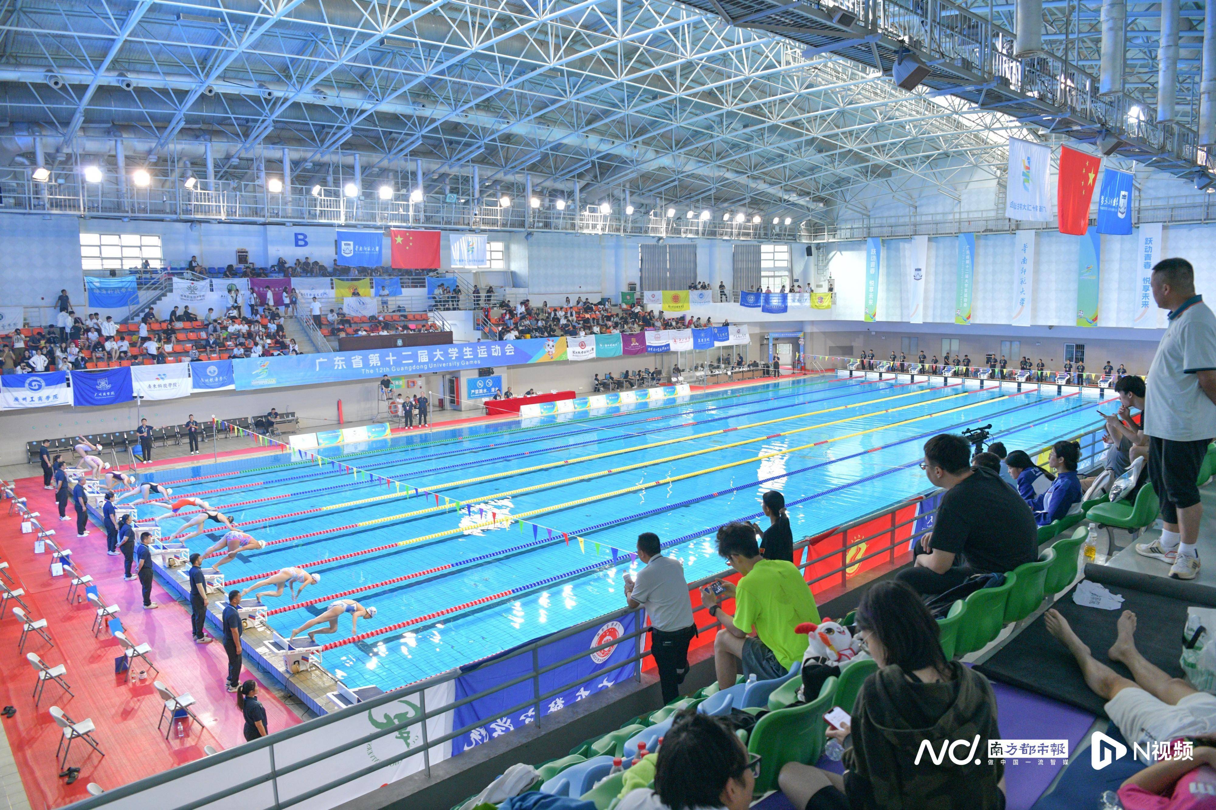 游泳赛事精彩瞬间盘点，年度回顾震撼登场的简单介绍